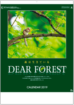 SP-16 ディアフォレスト 2019年カレンダー