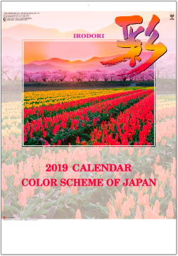 YG-2 彩 2019年カレンダー