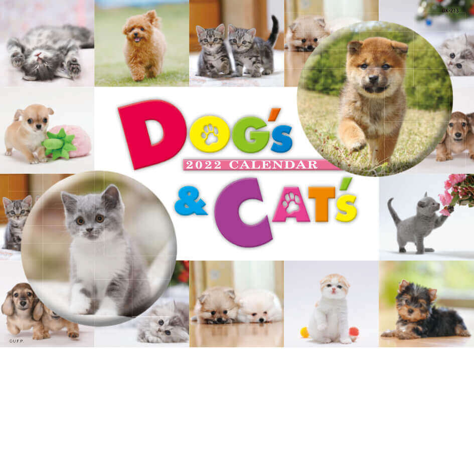  Dog&Cat 2022年カレンダーの画像