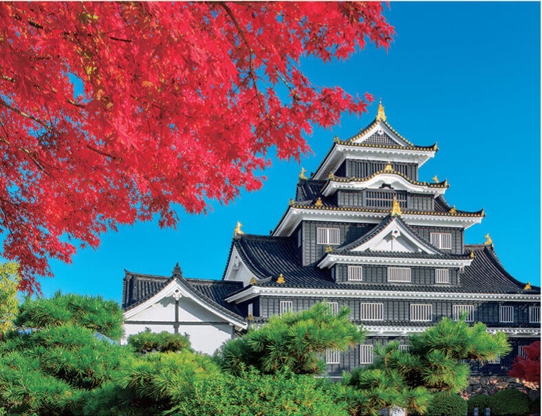 11月 岡山城(岡山) ザ・日本 2022年カレンダーの画像