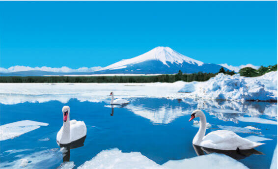 1月 山中湖村(山梨) フォーエバージャパン 2022年カレンダーの画像