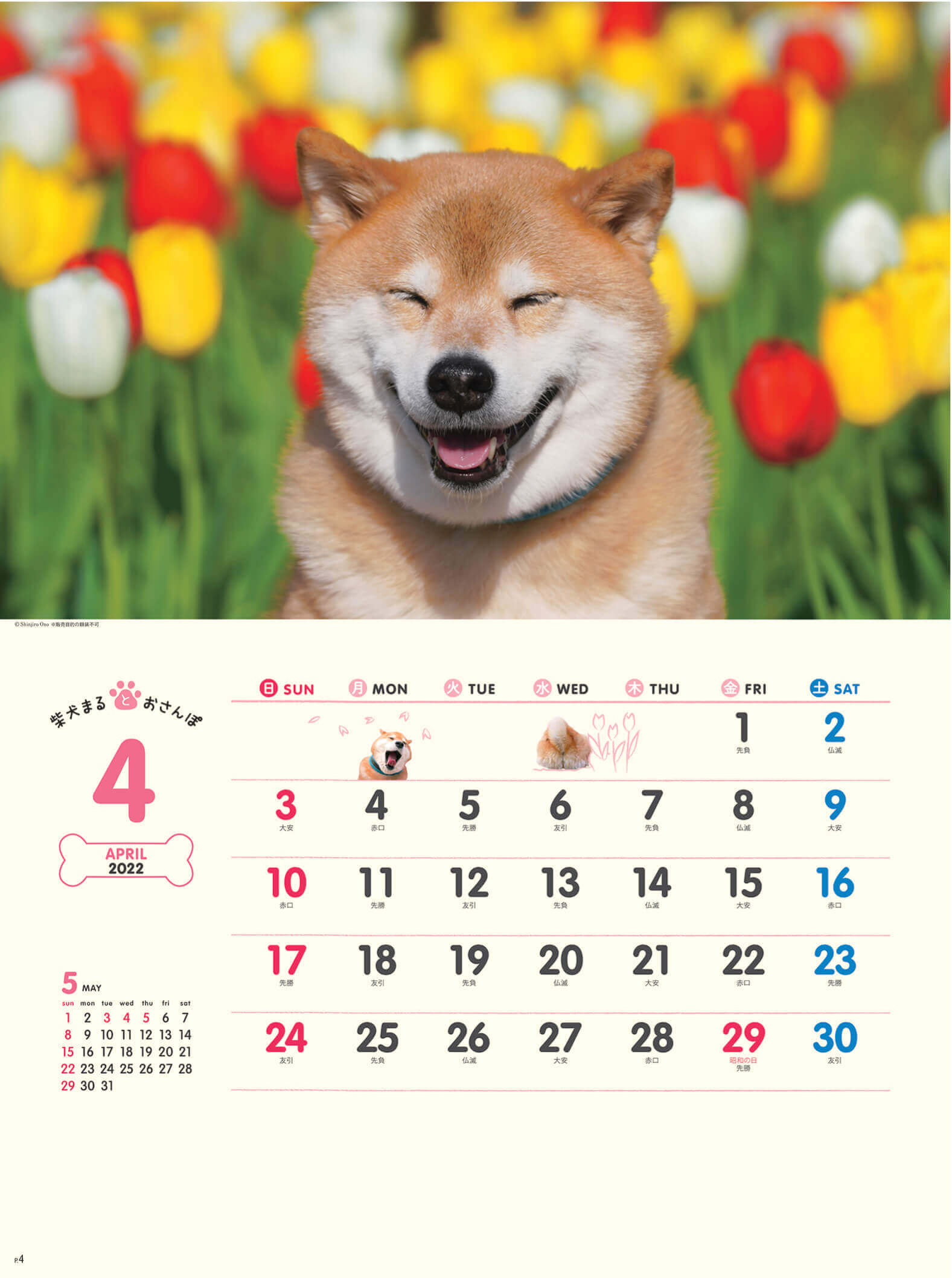  柴犬まるとおさんぽ 2022年カレンダーの画像