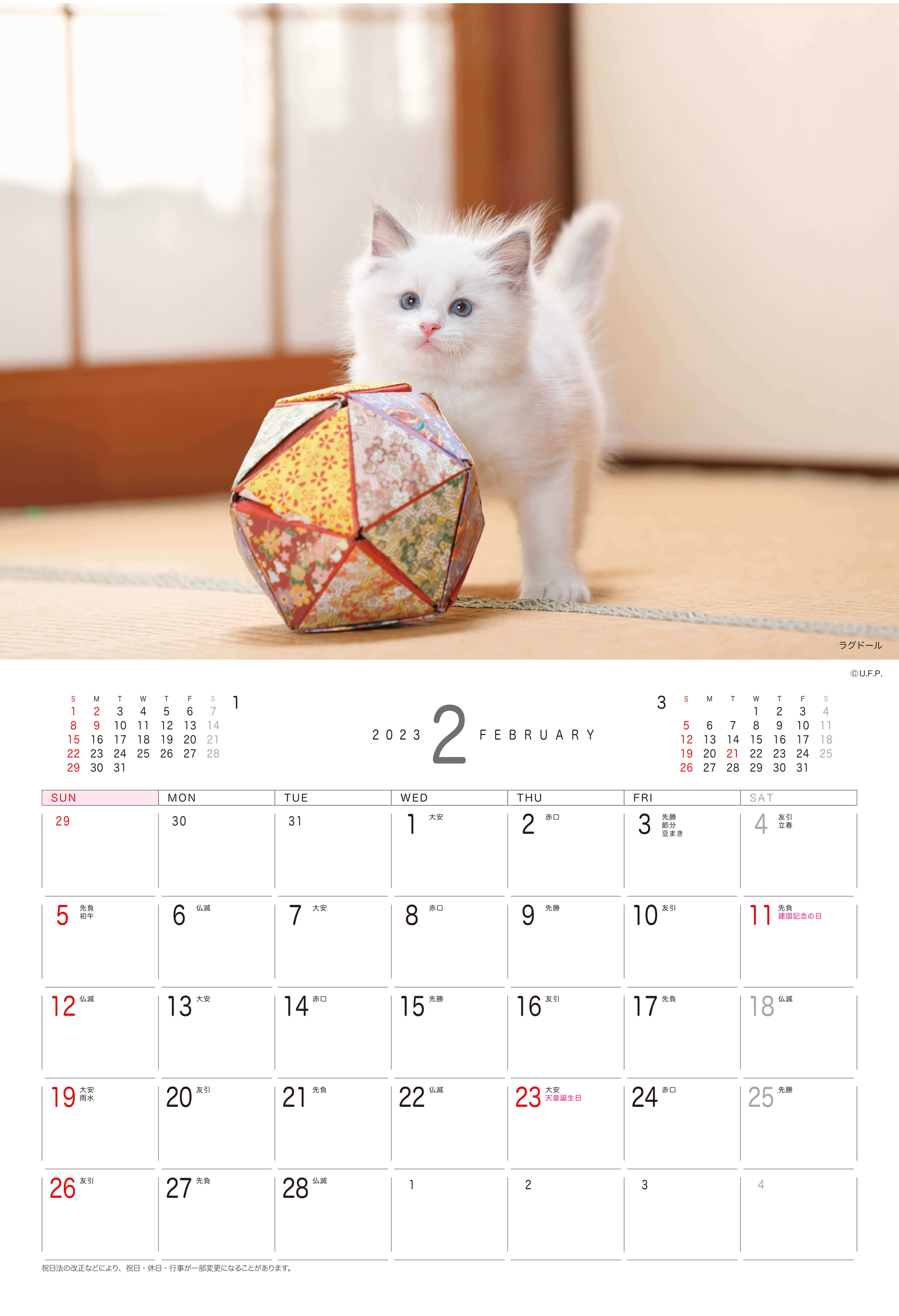 2月 ラグドール Dog&Cat 2023年カレンダーの画像