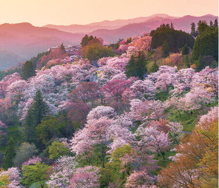 4月 吉野山(奈良) 日本の朝 2023年カレンダーの画像