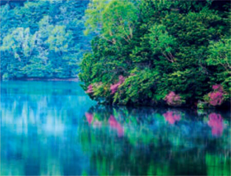 6/7月 湯ノ湖(栃木) 彩り日本(12月はじまり） 2023年カレンダーの画像