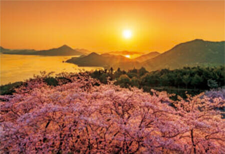 4月 開山」公園(愛媛) 輝く太陽 2023年カレンダーの画像