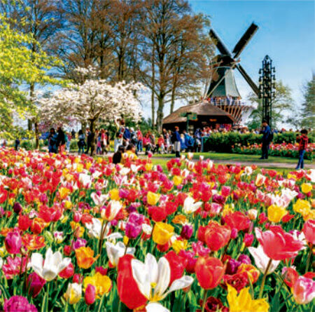 3/4月 ｋヒューケンホフ公園(オランダ) ワイドヨーロッパ（フィルムカレンダー） 2023年カレンダーの画像