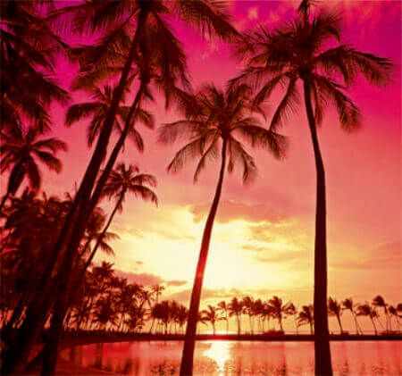 11/12月 ハワイ島(アメリカ) 世界のリゾート(フィルムカレンダー） 2023年カレンダーの画像
