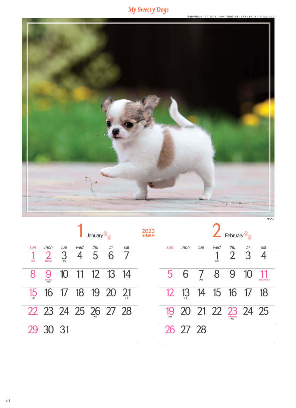 1/2月 チワワ マイスウィーティードッグ 2023年カレンダーの画像