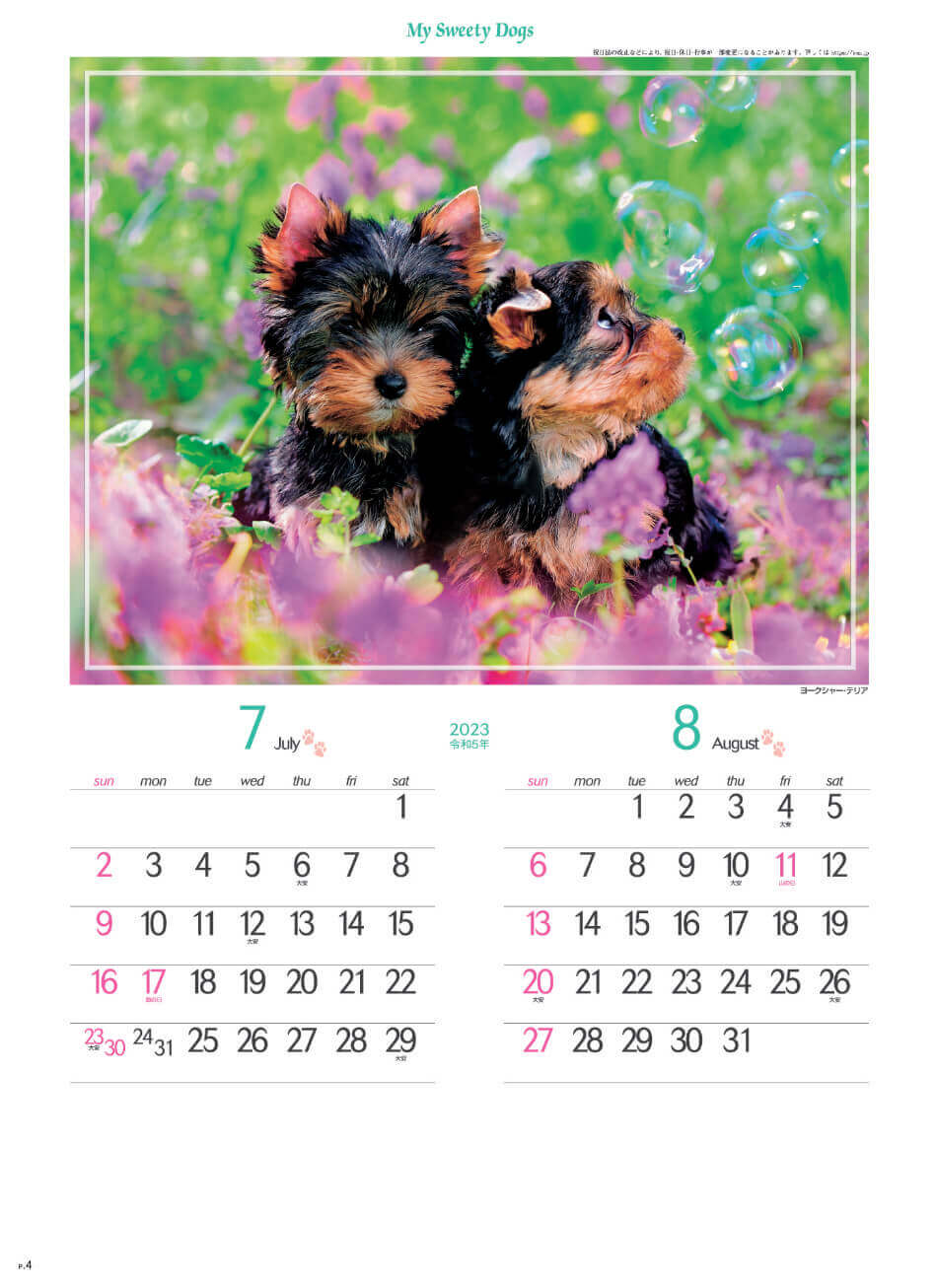 7/8月 ヨークシャー・テリア マイスウィーティードッグ 2023年カレンダーの画像