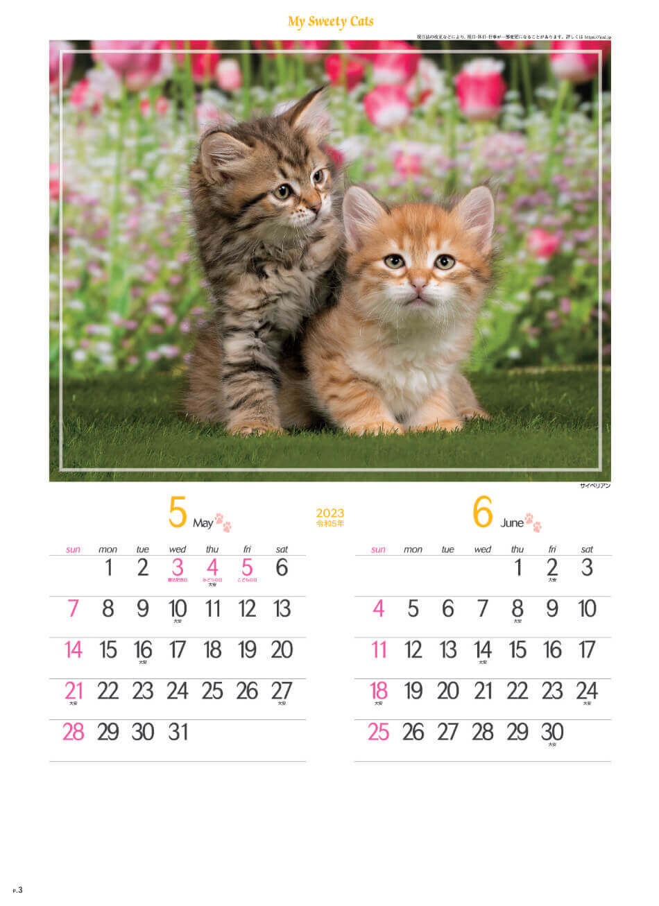 5/6月 サイベリアン マイスウィーティーキャット 2023年カレンダーの画像