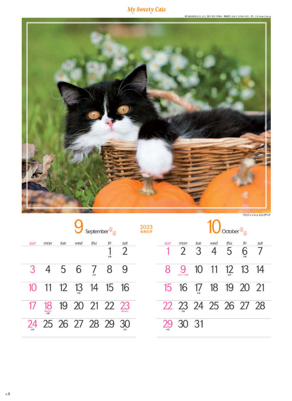 9/10月 ブリティッシュ・ロングヘア マイスウィーティーキャット 2023年カレンダーの画像