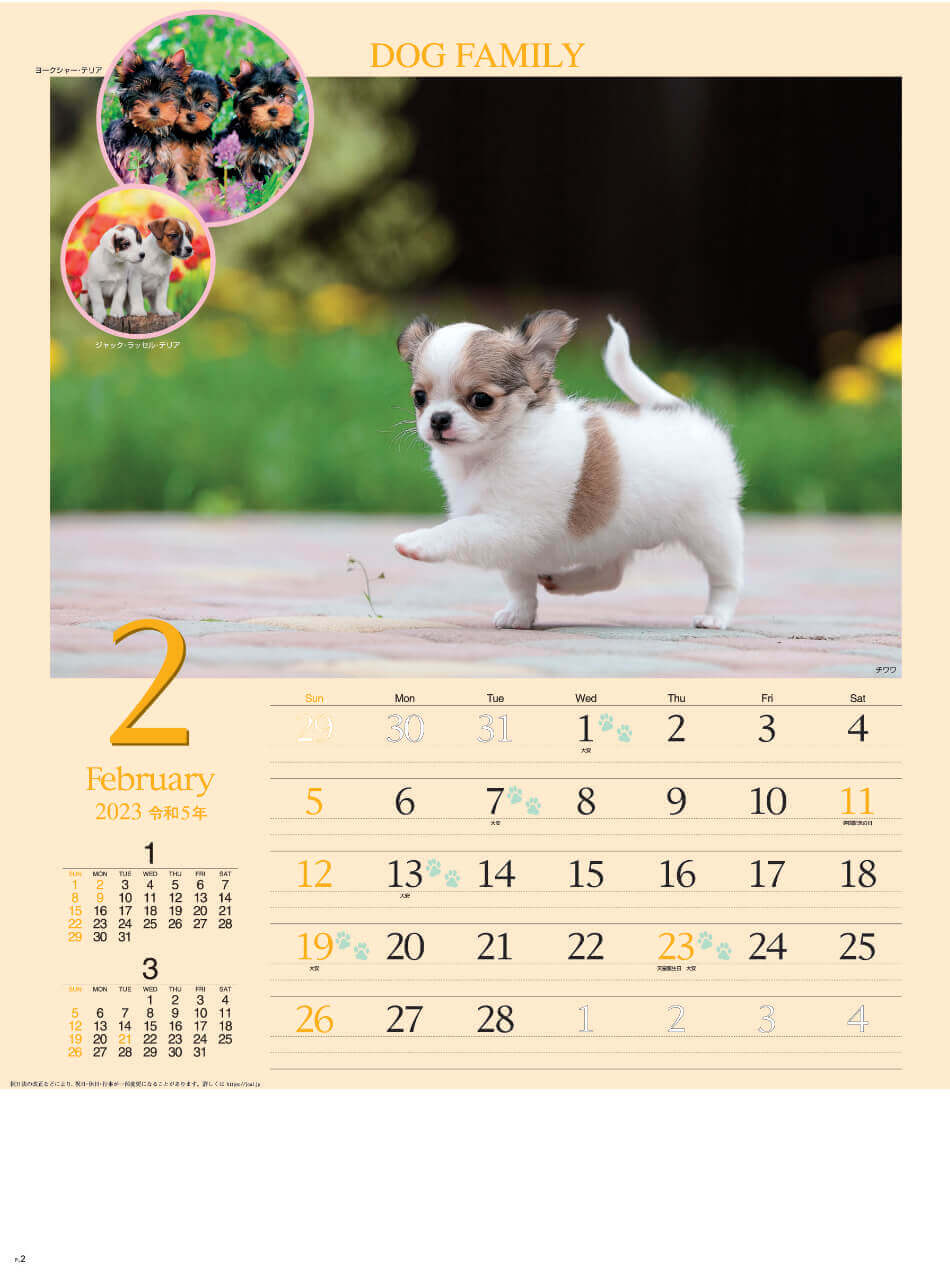 2月 チワワ   ドッグファミリー 2023年カレンダーの画像