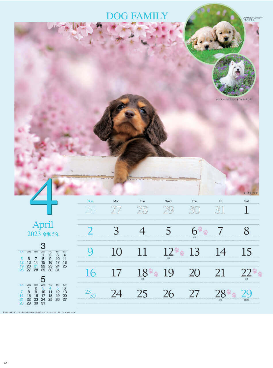 4月 ダックスフンド   ドッグファミリー 2023年カレンダーの画像