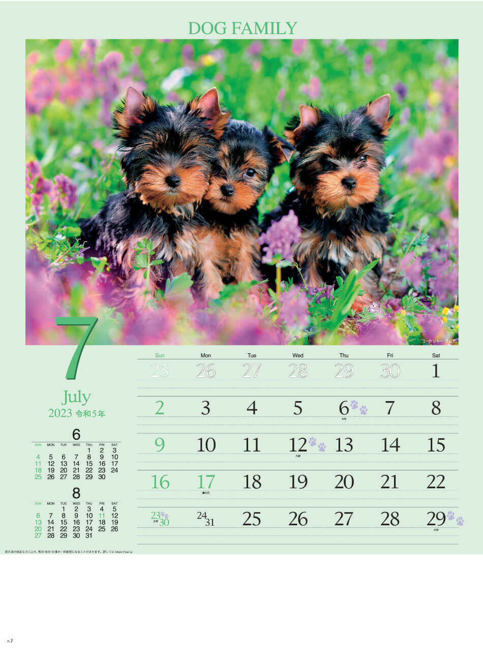 7月 ヨークシャー・テリア    ドッグファミリー 2023年カレンダーの画像