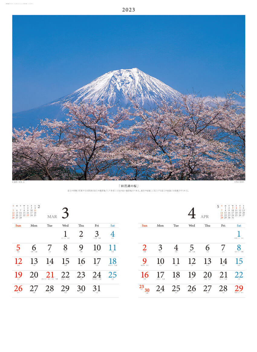 3/4月 田貫湖の桜(静岡県) 富士の四季 2023年カレンダーの画像