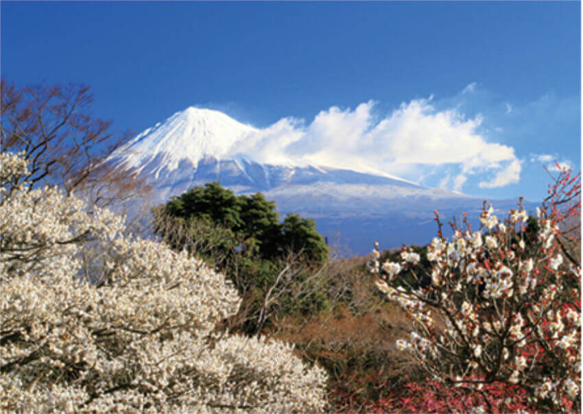 2月 富士市より(静岡県) 富士十二景 2023年カレンダーの画像