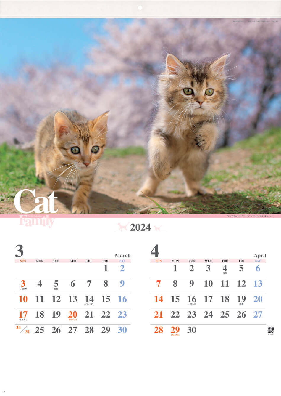 ベンガル、サイベリアンフォレストキャット キャッツファミリー 2024年カレンダーの画像