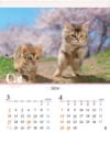 ベンガル、サイベリアンフォレストキャット キャッツファミリー 2024年カレンダーの画像