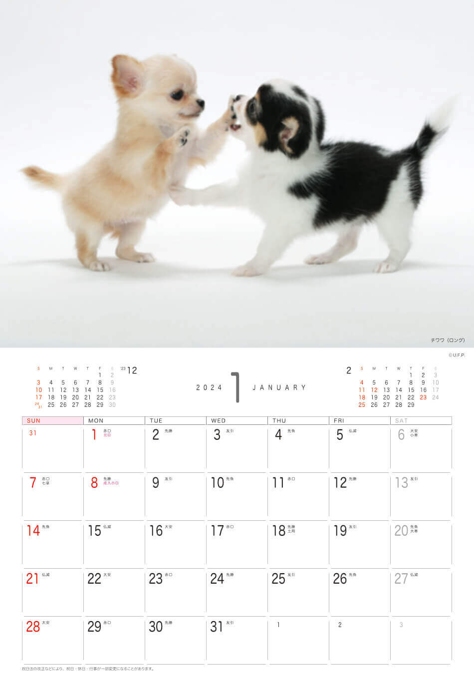 チワワ Dog&Cat 2024年カレンダーの画像