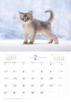 ソマリ Dog&Cat 2024年カレンダーの画像