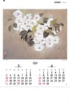 横尾英子 「さくら」 名画花鳥 2024年カレンダーの画像