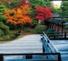 10月　仁和寺(京都) 日本の美 2024年カレンダーの画像