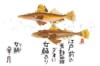  魚彩時記 2024年カレンダーの画像