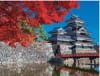 11月　松本城(長野) ザ・日本 2024年カレンダーの画像