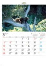 北海道 フォーエバージャパン 2024年カレンダーの画像