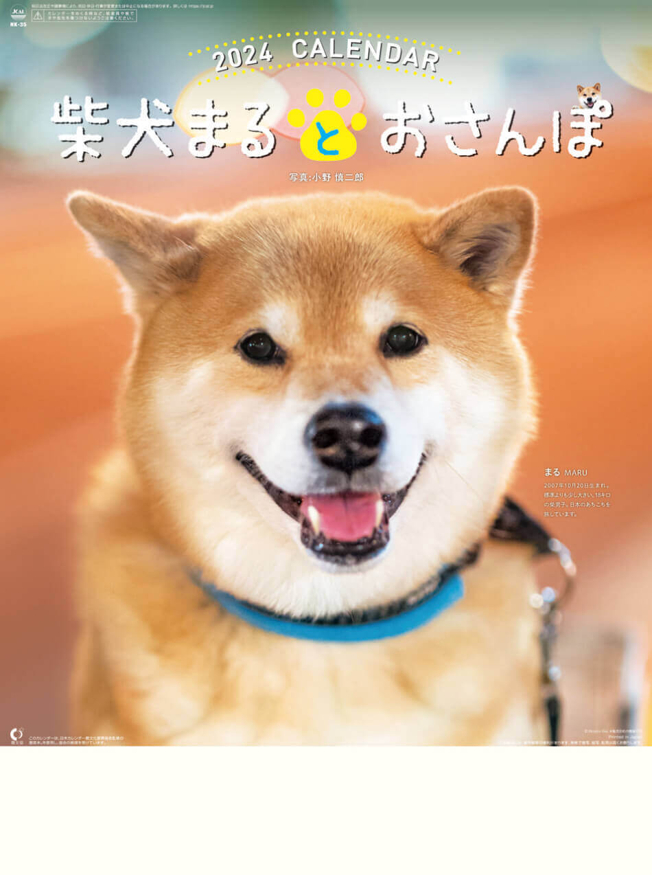 表紙 柴犬まるとおさんぽ 2024年カレンダーの画像