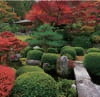 9/10月　三室戸寺(京都) 庭(フィルムカレンダー) 2024年カレンダーの画像