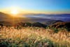 10月　韮山高原(岡山) 輝く太陽 2024年カレンダーの画像