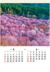 3/4月　桜峠(福島) 四季の彩(フィルムカレンダー・小) 2024年カレンダーの画像