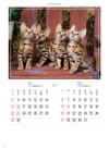 ベンガル マイスウィーティーキャット 2024年カレンダーの画像
