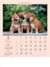 柴 ドッグファミリー 2024年カレンダーの画像