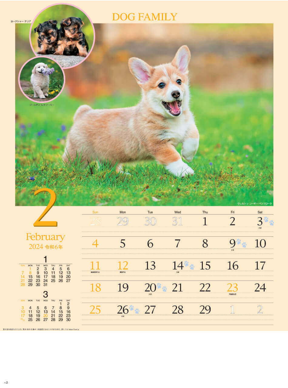ウェルシュ・コーギー・ペンブローク ドッグファミリー 2024年カレンダーの画像
