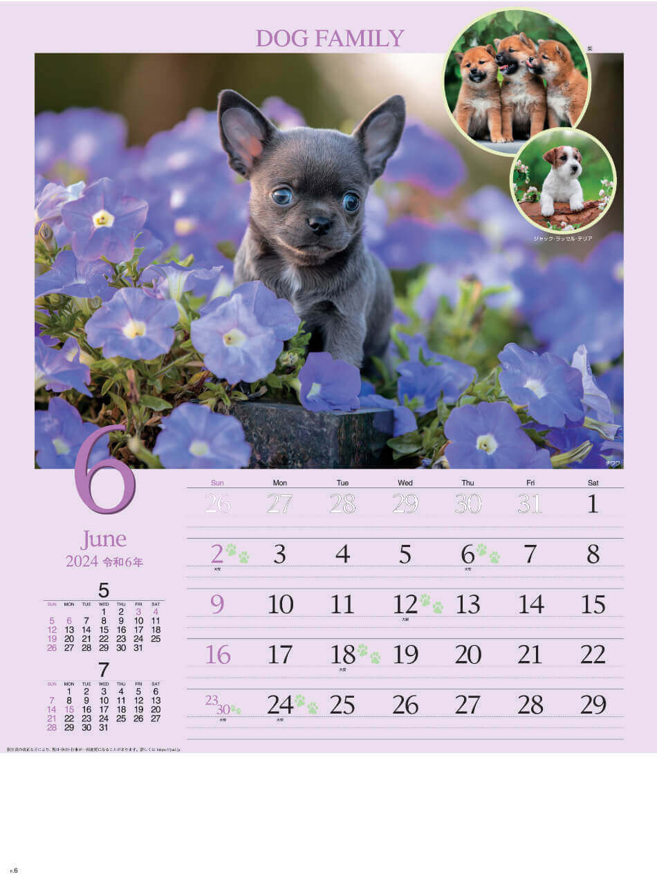 チワワ ドッグファミリー 2024年カレンダーの画像
