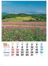 あわじ花さじき(兵庫) 美しき日本 2024年カレンダーの画像