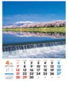 白石川堤一目三本桜（宮城） 美しき日本 2024年カレンダーの画像