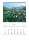 神楽女湖しょうぶ園(大分) 四季十二彩 2024年カレンダーの画像