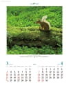 エゾシカ ディアフォレスト 2024年カレンダーの画像