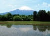 5月　田んぼと富士山(山梨) 富士十二景 2024年カレンダーの画像