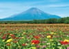 8月　山中湖村より百日草と富士山(山梨) 富士十二景 2024年カレンダーの画像