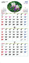ジャーマンアイリス ファインスケジュール 2025年カレンダーの画像