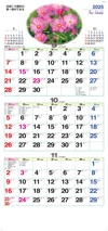 コスモス ファインスケジュール 2025年カレンダーの画像