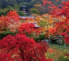 11月	永観堂（京都） 日本の美 2025年カレンダーの画像