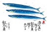 秋刀魚 魚彩時記 2025年カレンダーの画像