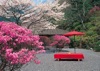3/4月 白龍園（京都） 名園集 2025年カレンダーの画像