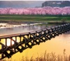 4月	斐伊川（島根） 日本の朝 2025年カレンダーの画像